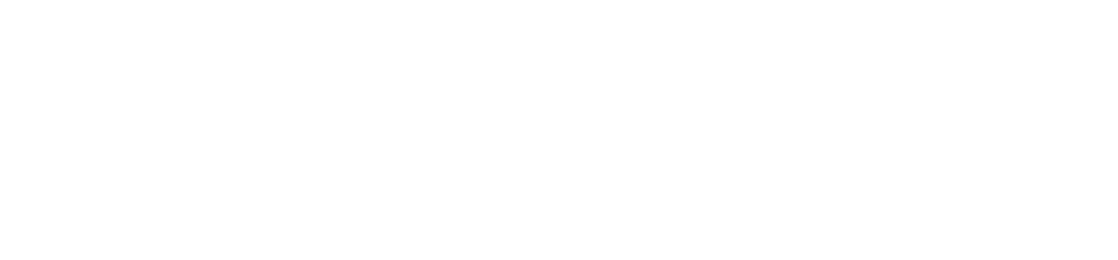 teeshe